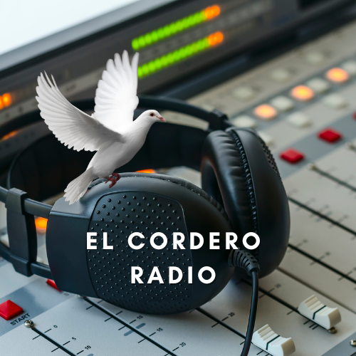 Ne Deportes Electr